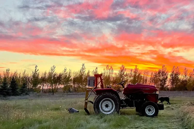 Meyer Insurance & Financial Services